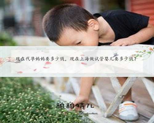 现在代孕妈妈要多少钱，现在上海做试管婴儿要多少钱？